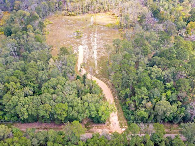 Land for sale in Independence, Louisiana