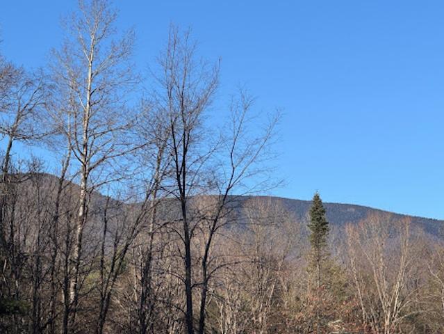 Land for sale in Vermont