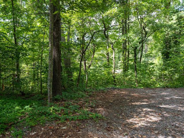Land for sale in Asheville, North Carolina