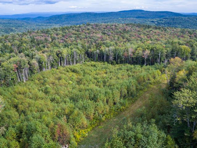 Land for sale in Vermont