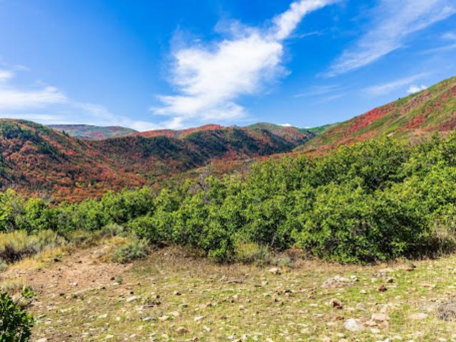 Land for sale in Midway, Utah