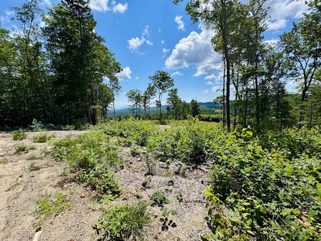 Land for sale in Groton, Vermont