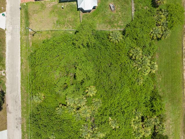 Land for sale in Labelle, Florida