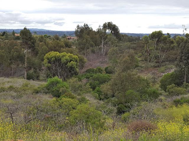 Land for sale in Encinitas