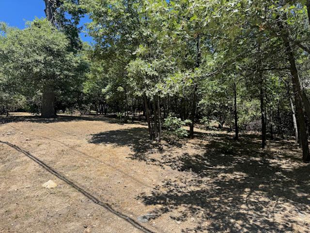 Land for sale in Cedar Glen, California