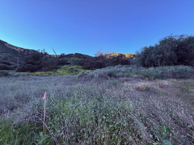 Land for sale in Topanga, California