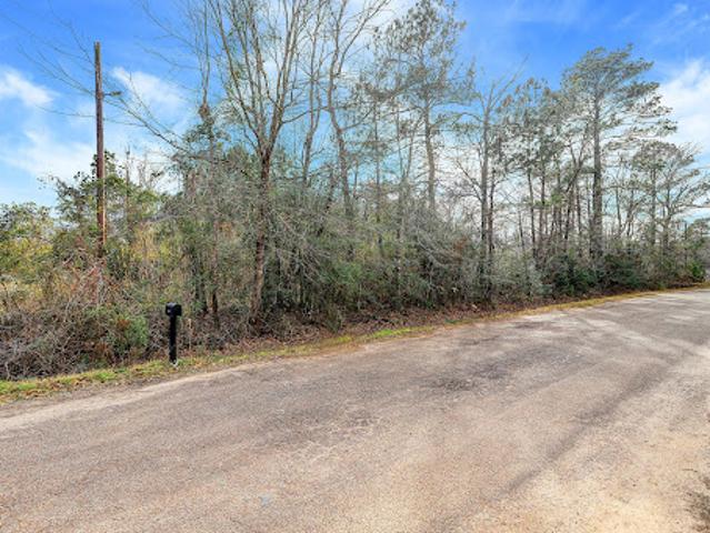 Land for sale in New Caney, Texas