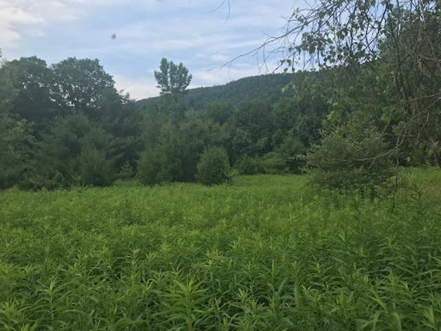 Land for sale in Berkshire, Massachusetts