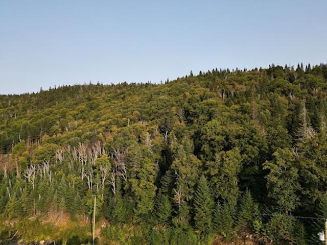 Land for sale in Matawinie, Quebec