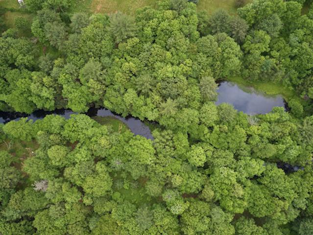 Land for sale in Bethel, New York