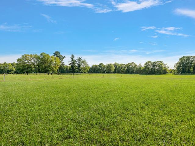 Land for sale in Michigan
