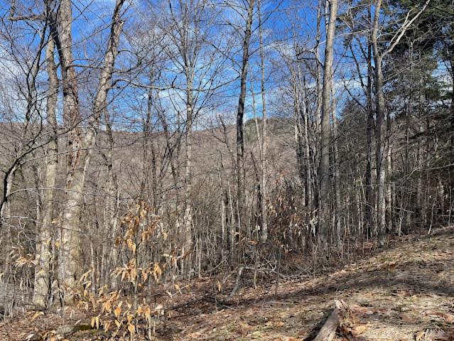 Land for sale in Plymouth, Vermont