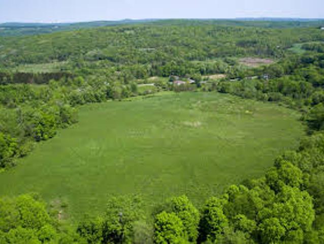 Land for sale in Sherman