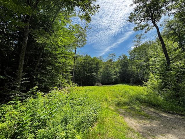 Land for sale in Chester, Vermont