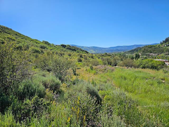 Land for sale in Steamboat Springs, Colorado