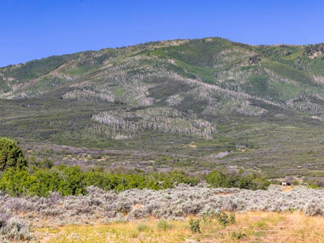Land for sale in Wallsburg, Utah
