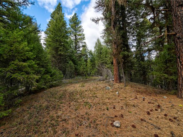 Land for sale in Ravalli, Montana