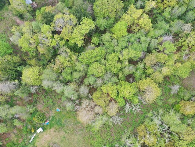 Land for sale in Bainbridge Island, Washington