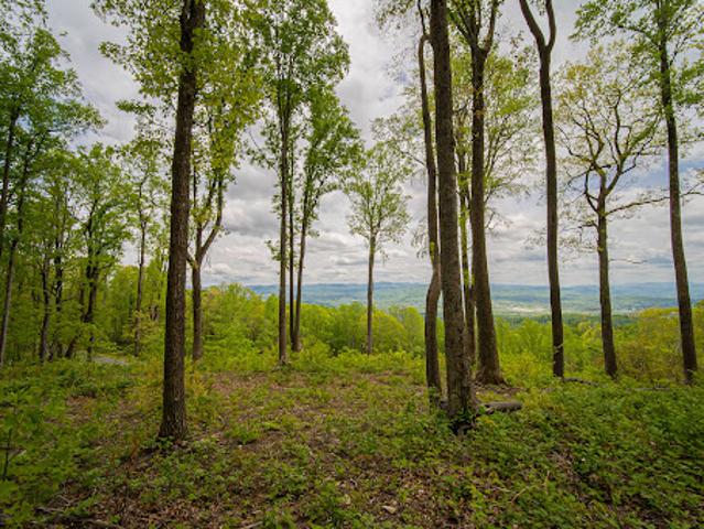 Land for sale in Fletcher, North Carolina