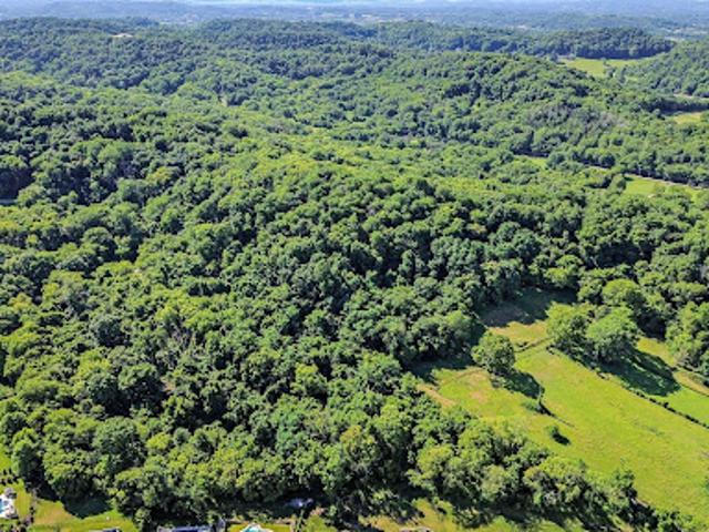 Land for sale in Tennessee
