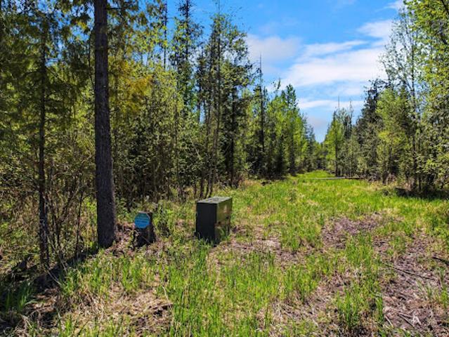 Land for sale in Sandpoint, Idaho