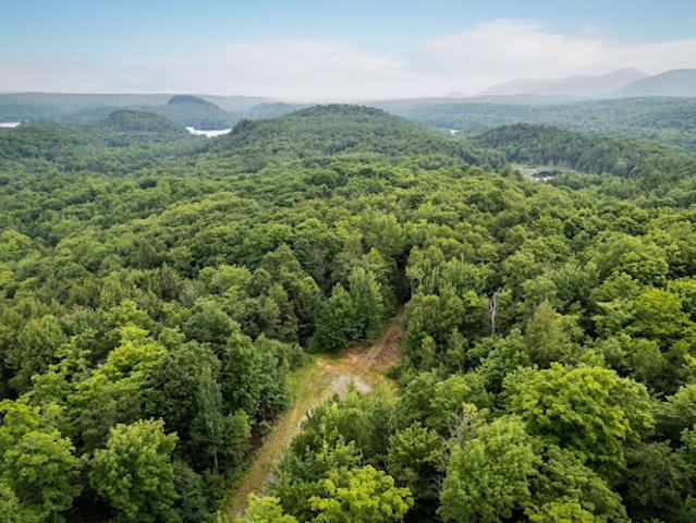 Land for sale in Memphrémagog, Quebec