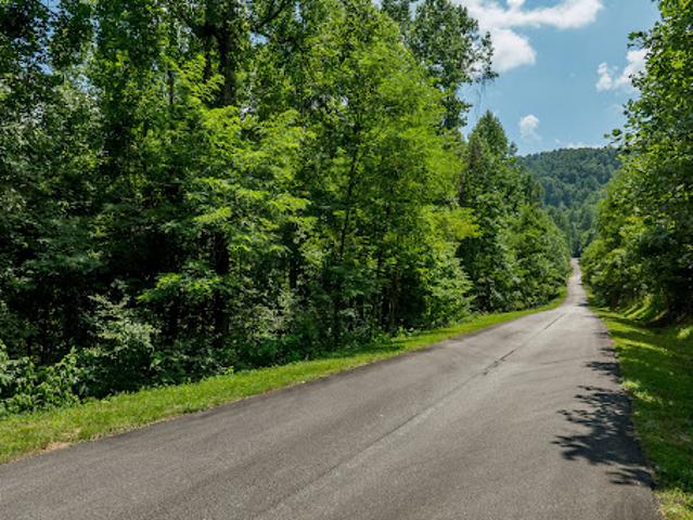 Land for sale in Mill Spring, North Carolina