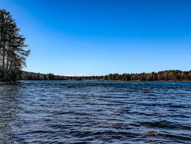 Land for sale in Surry, Maine