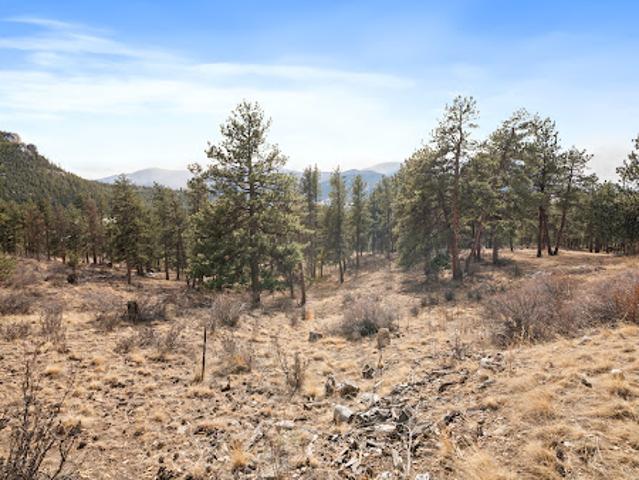 Land for sale in Bailey, Colorado