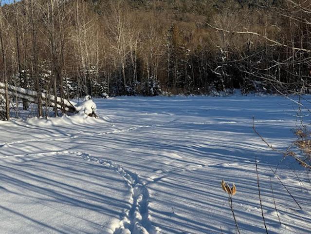 Land for sale in Memphrémagog, Quebec