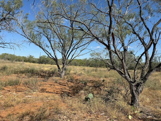 Land for sale in Moore, Texas