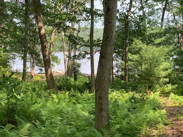 Land for sale in Bethel, New York