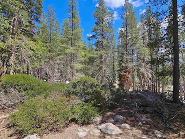 Land for sale in California