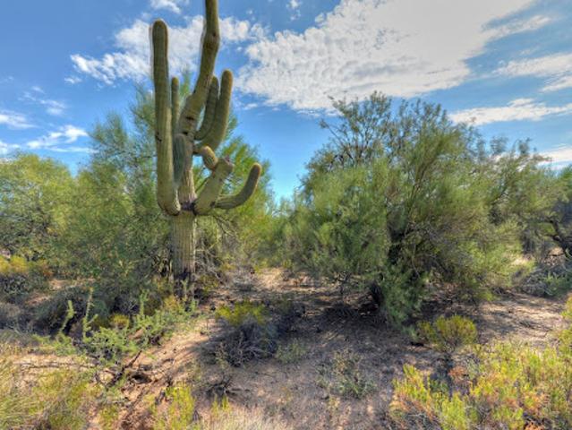 Land for sale in Scottsdale Land for sale in Scottsdale