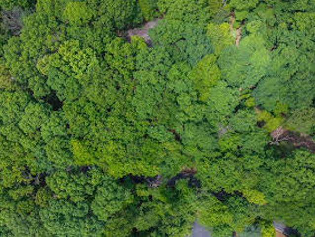 Land for sale in Atlanta Land for sale in Atlanta