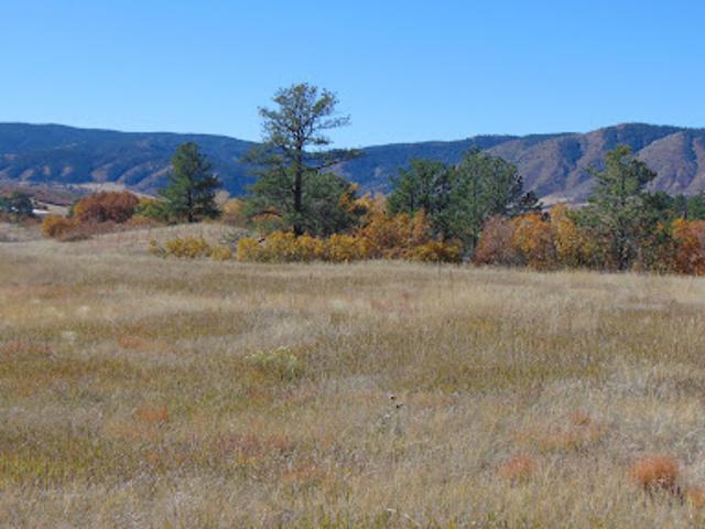 Land for sale in Sedalia, Sedaila