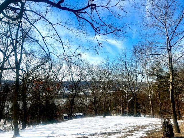 Land for sale in Sewickley Land for sale in Sewickley