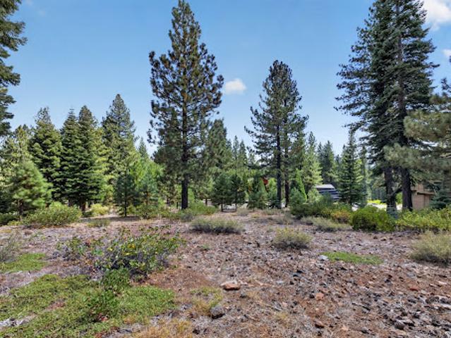 Land for sale in Truckee, California