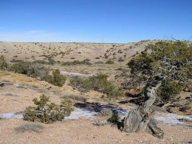Land for sale in Arizona