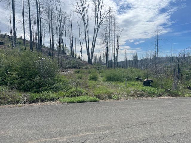 Land for sale in Grizzly Flats, California
