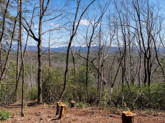 Land for sale in Salem, South Carolina