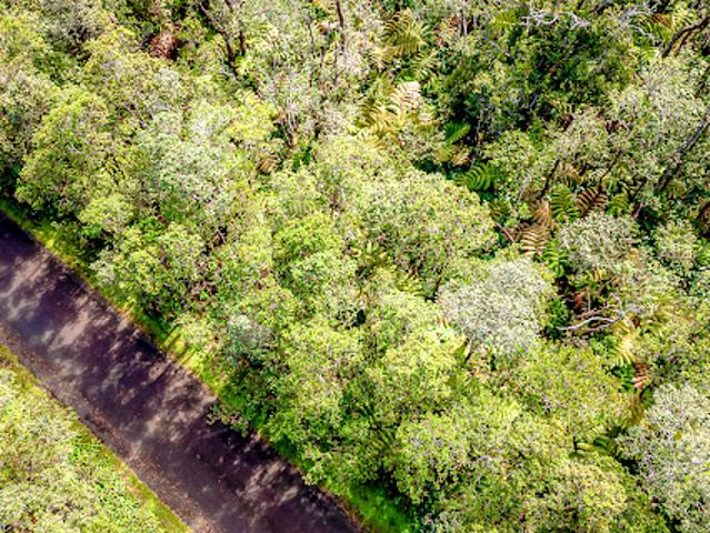 Land for sale in Volcano, Hawaii