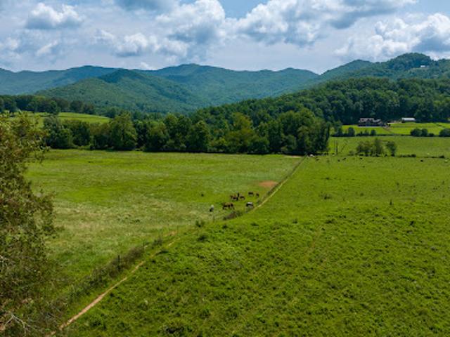 Land for sale in Hayesville, North Carolina