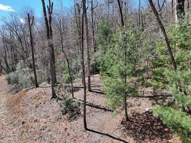 Land for sale in Blue Ridge, Georgia