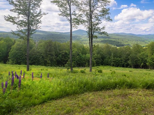 Land for sale in Weston, Vermont