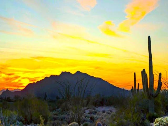 Land for sale in Scottsdale, Arizona