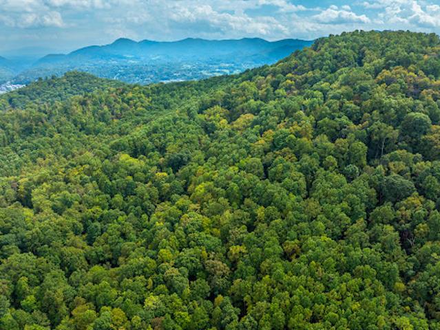 Land for sale in Canton, Haywood County