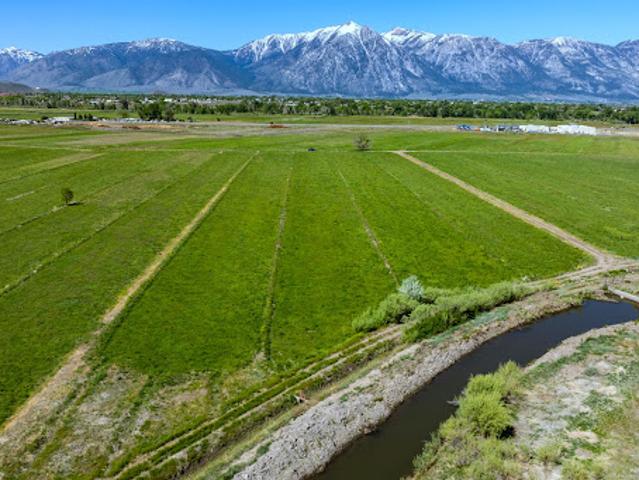 Land for sale in Gardnerville