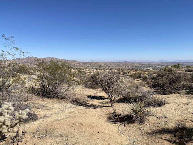 Land for sale in Joshua Tree, California
