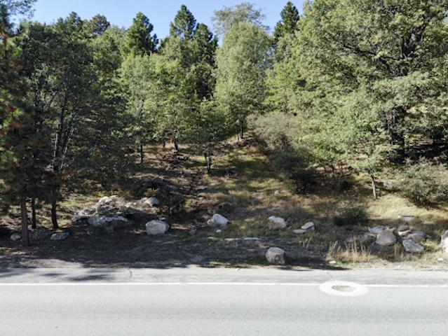 Land for sale in Lake Arrowhead